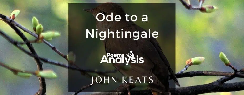 Ode to a Nightingale by John Keats