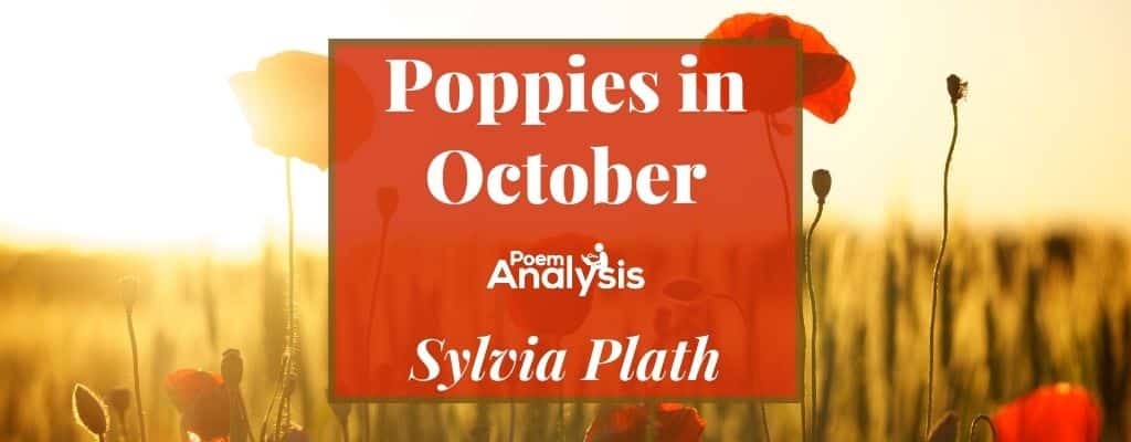 Poppies in October by Sylvia Plath - Poem Analysis