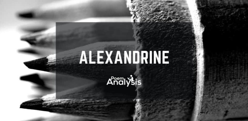 Alexandrine definition and examples