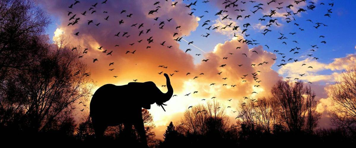 Love Cycle by Chinua Achebe Visual Representation