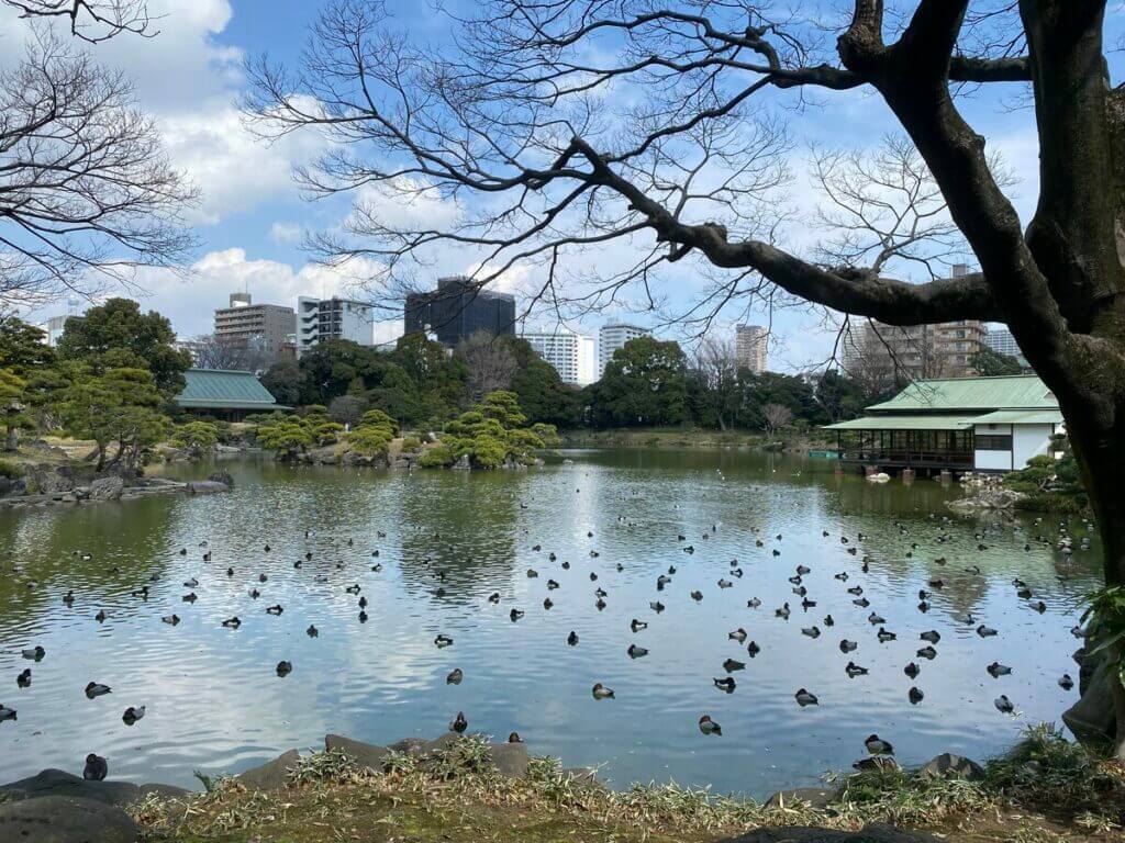 Japanese Nature