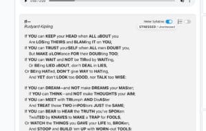Meter Syllables on Poem Analysis